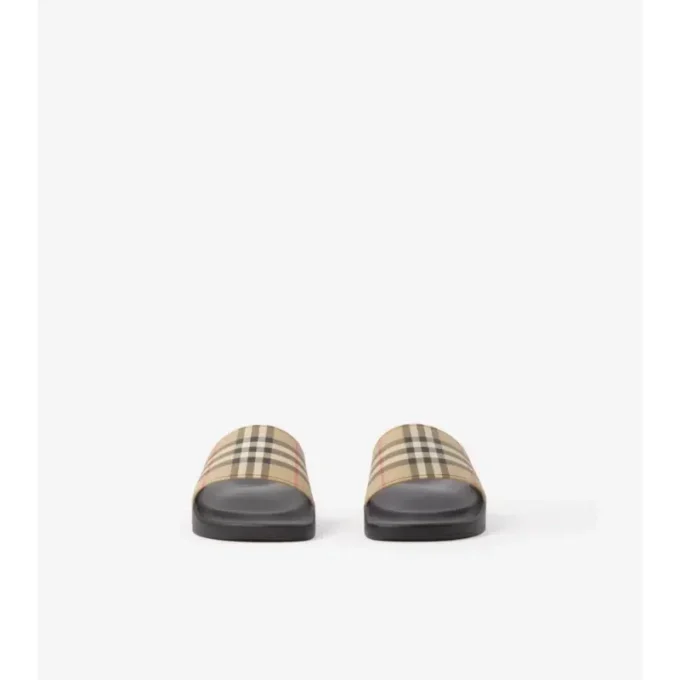 Check Slides