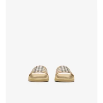 Check Slides