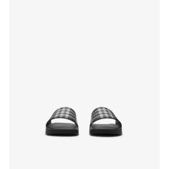 Check Slides