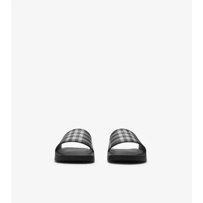 Check Slides
