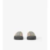 Check Slides