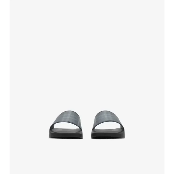 Check Slides