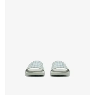 Check Slides