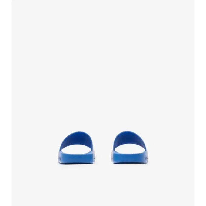 Check Slides