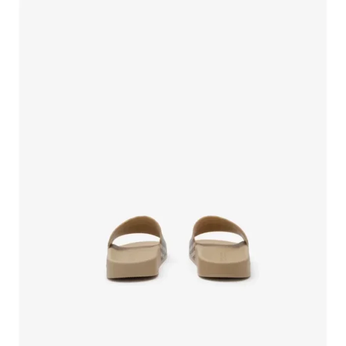 Check Slides