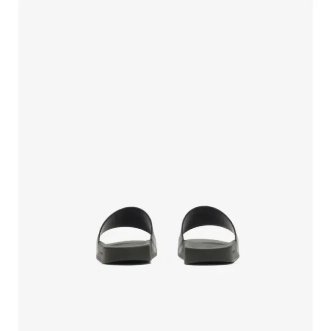 Check Slides
