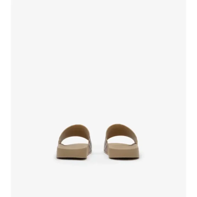Check Slides