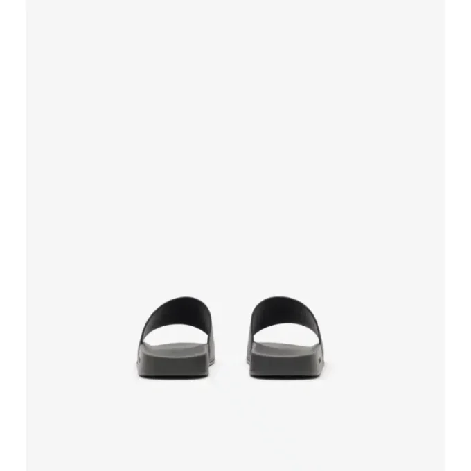 Check Slides