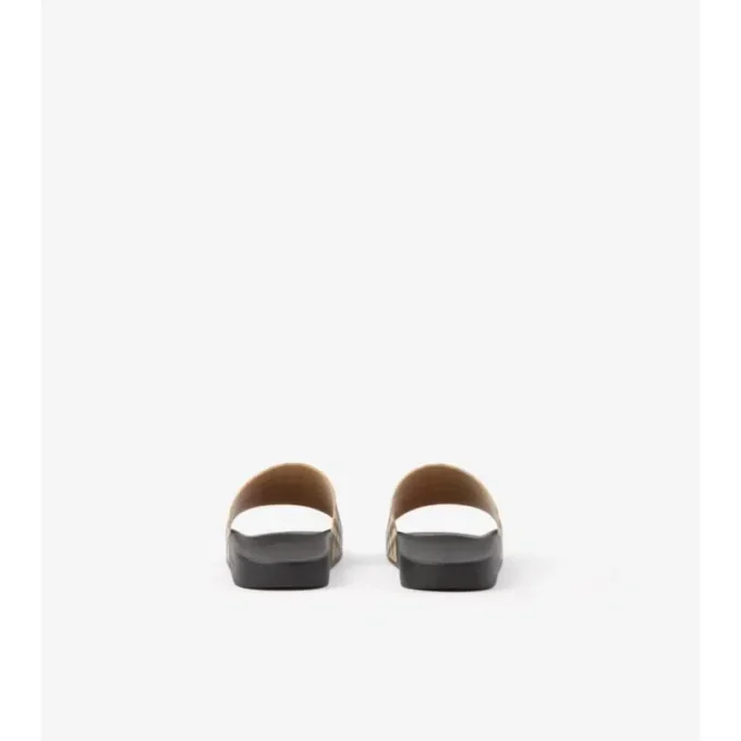 Check Slides