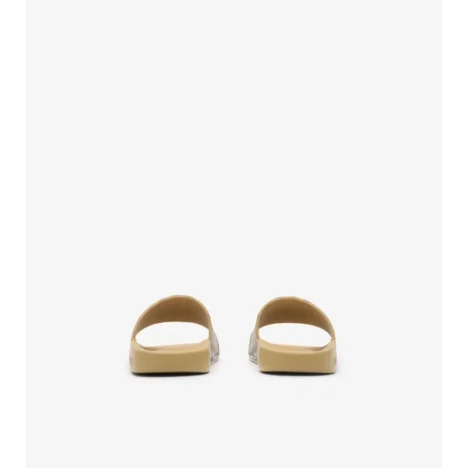 Check Slides