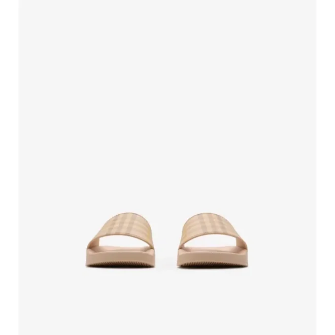 Check Slides