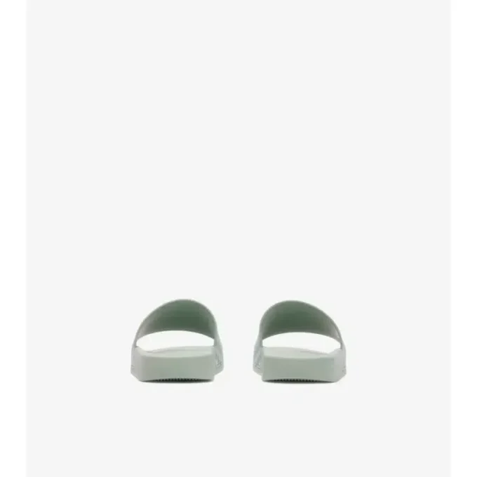 Check Slides