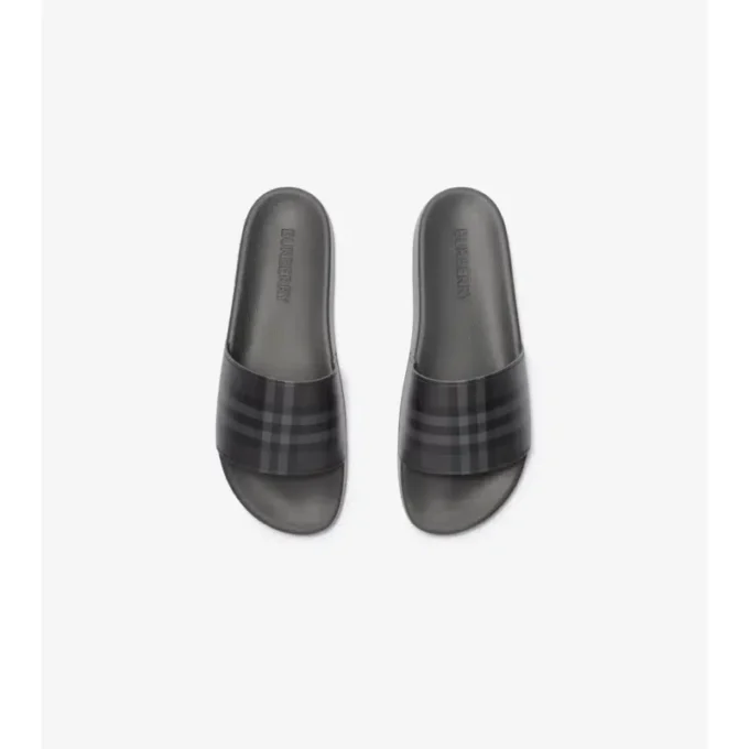 Check Slides