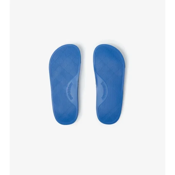 Check Slides