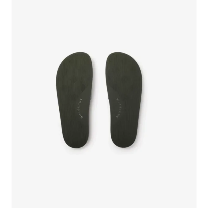 Check Slides
