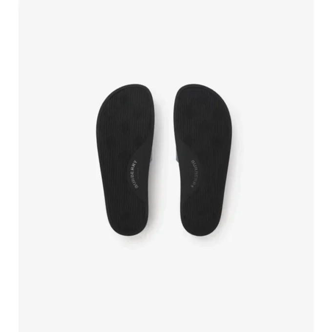 Check Slides