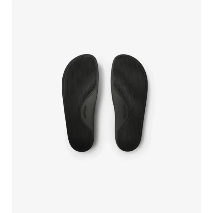 Check Slides