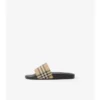 Check Slides