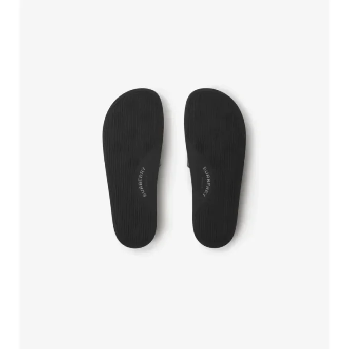 Check Slides