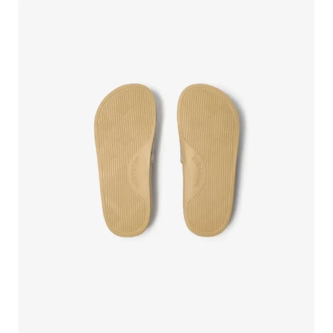 Check Slides