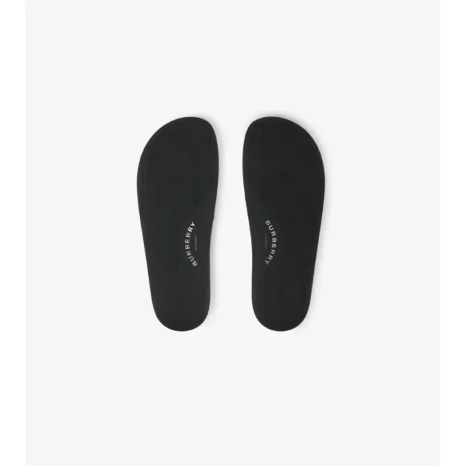 Check Slides