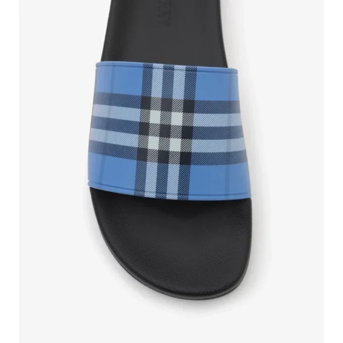 Check Slides