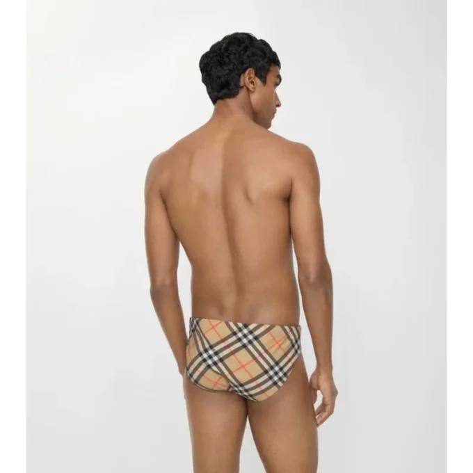 Check Swim Briefs