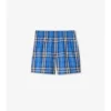 Check Swim Shorts