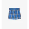 Check Swim Shorts