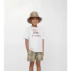 Check Swim Shorts