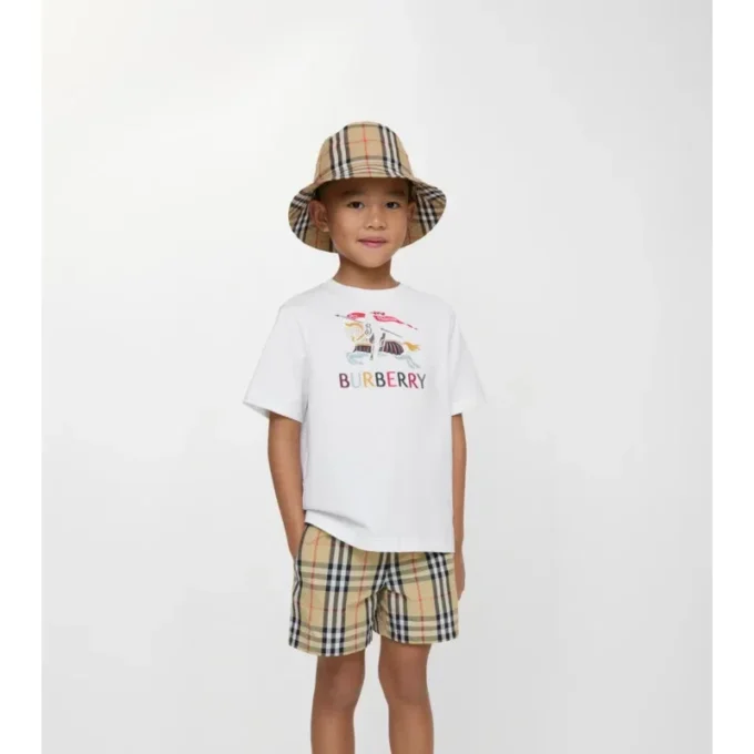 Check Swim Shorts