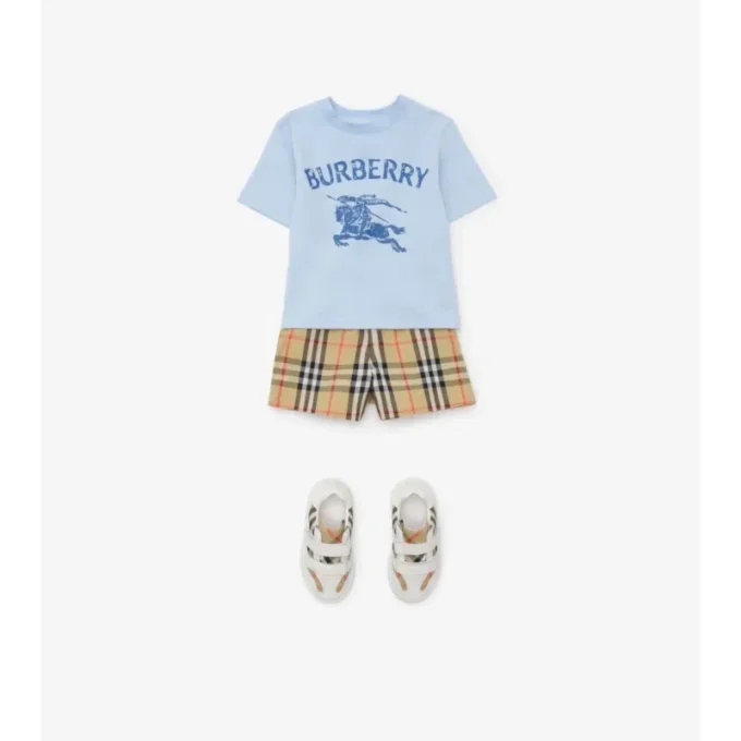 Check Swim Shorts