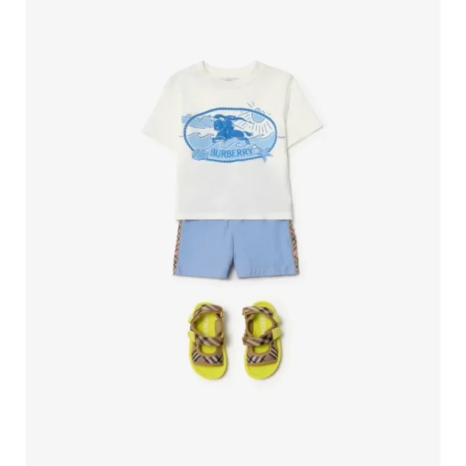 Check Trim Swim Shorts