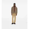 Cotton Chinos