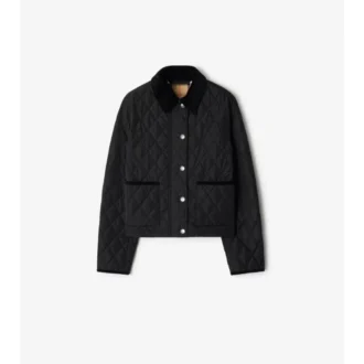 Cropped Quilted Nylon Jacket