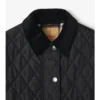 Cropped Quilted Nylon Jacket