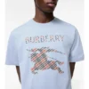 Cross Stitch Ekd  Cotton T-Shirt
