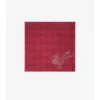 Crystal Ekd Check Silk Scarf