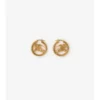 Ekd Hoop Earrings