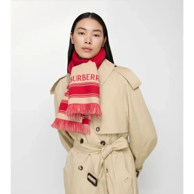 Ekd Striped Wool Scarf