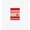 Ekd Striped Wool Scarf