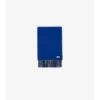 Gradient Check Cashmere Scarf