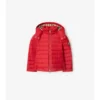 Hooded Puffer Jacket