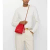 Horseshoe Chain Pouch