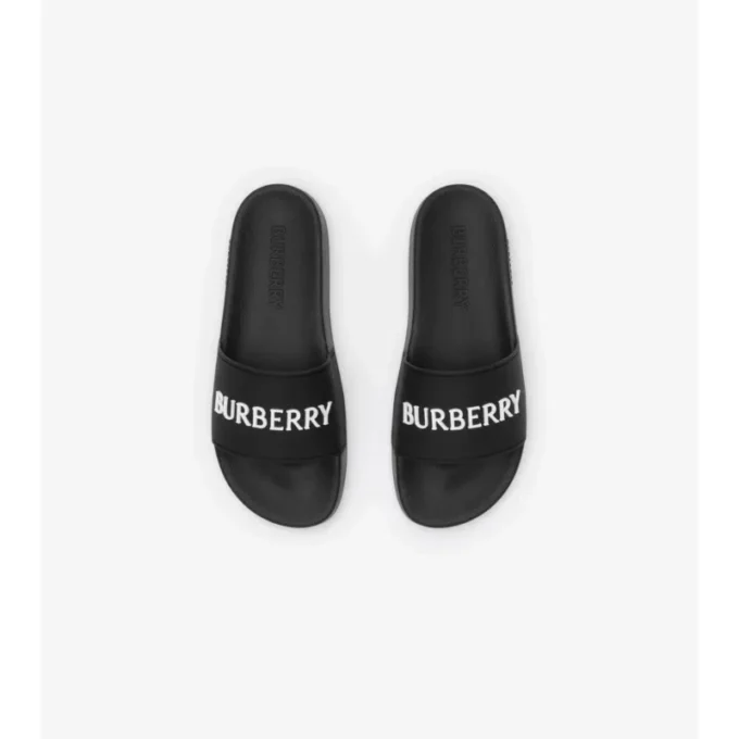 Logo Slides