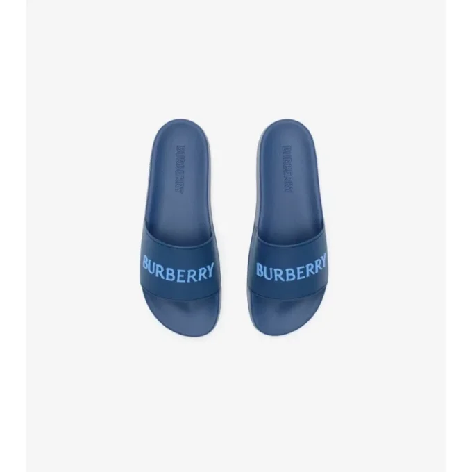 Logo Slides