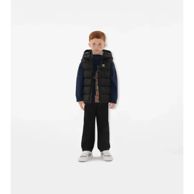 Nylon Hooded Puffer Gilet