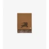 Reversible Ekd Cashmere Scarf