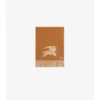 Reversible Ekd Cashmere Scarf