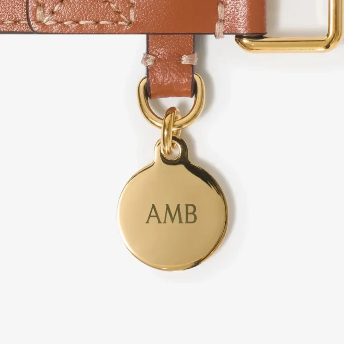 Small Check Dog Collar